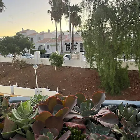 Golf 公寓 圣米格尔德阿沃纳